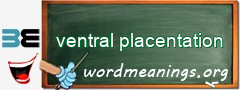 WordMeaning blackboard for ventral placentation